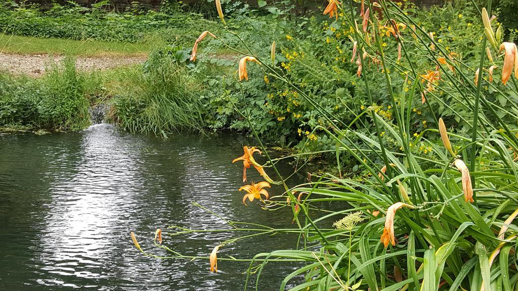 146 Casafante Lägenhet Regensburg Exteriör bild